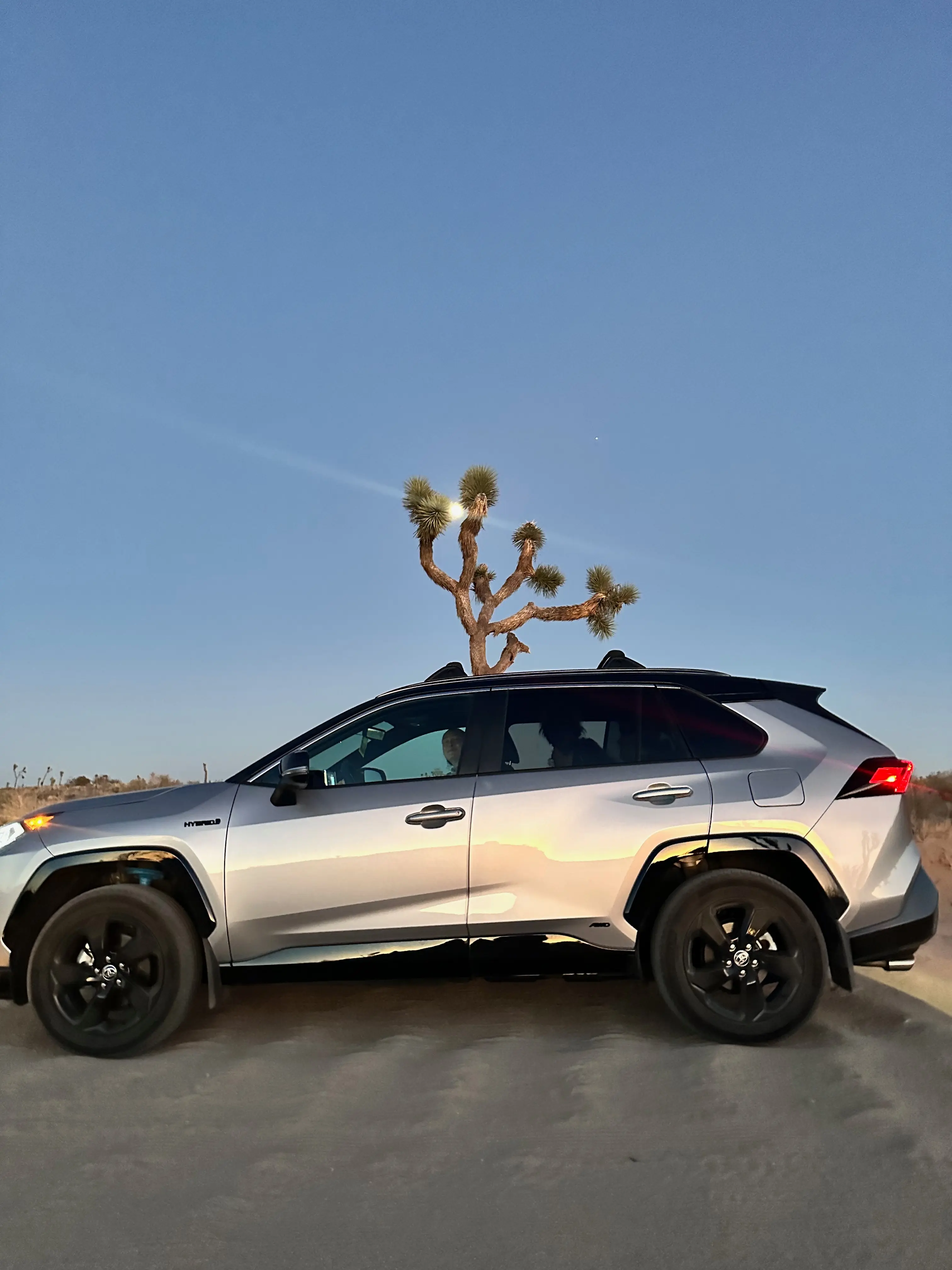 Joshua Tree National Park